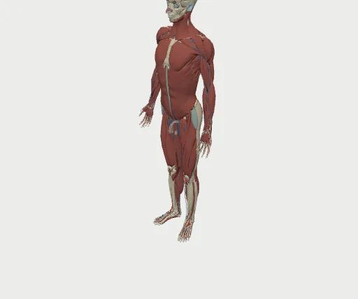 The full body at the far level of detail